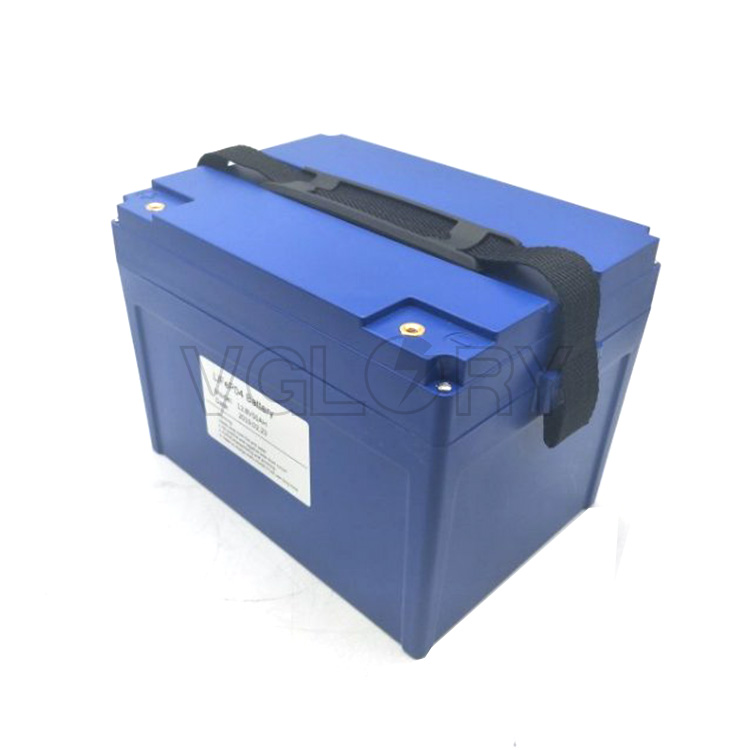 Vglory lfp battery inquire now for e-bike-1