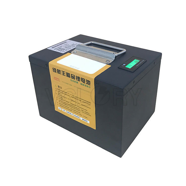 durable lithium ion battery price personalized for UPS-1