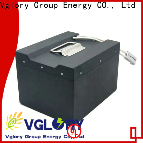 Vglory hot selling forklift battery personalized for UPS